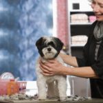 The 6 Metrics You Must Track When Running Your Dog Grooming Business